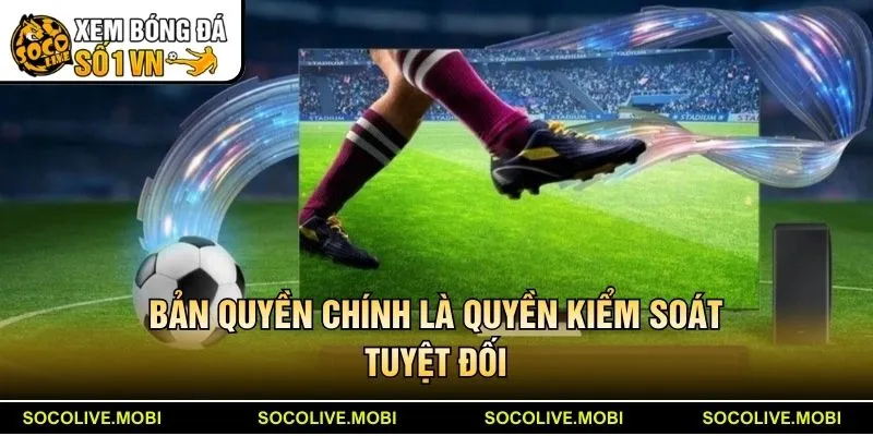 Bản quyền chính là quyền kiểm soát tuyệt đối