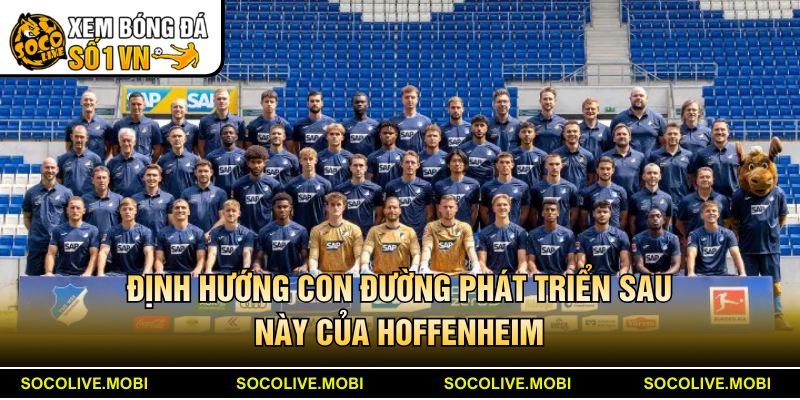 Định hướng con đường phát triển sau này của Hoffenheim